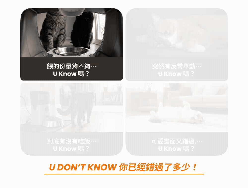 YUNO AI 全景智慧寵物餵食器痛點