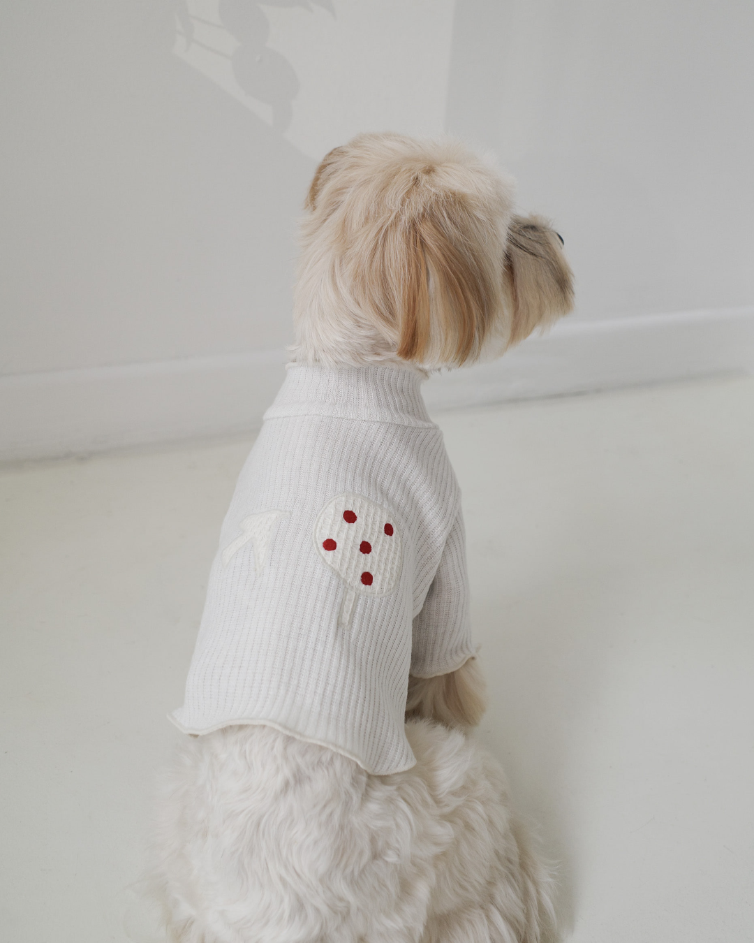 cote a cote 漿果刺繡針織衫(白)