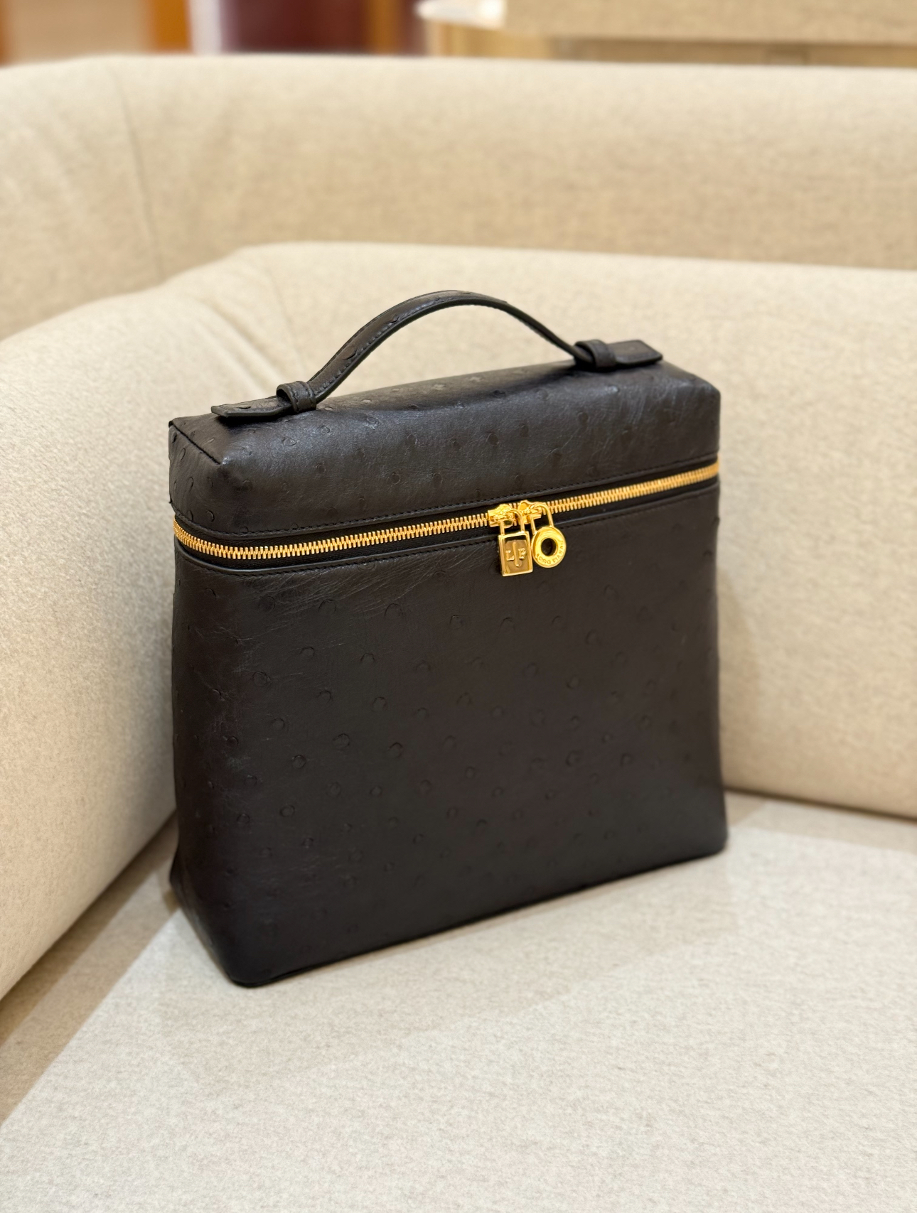Loro Piana Extra Pocket L23 Black Backpack黑金鴕鳥皮背包