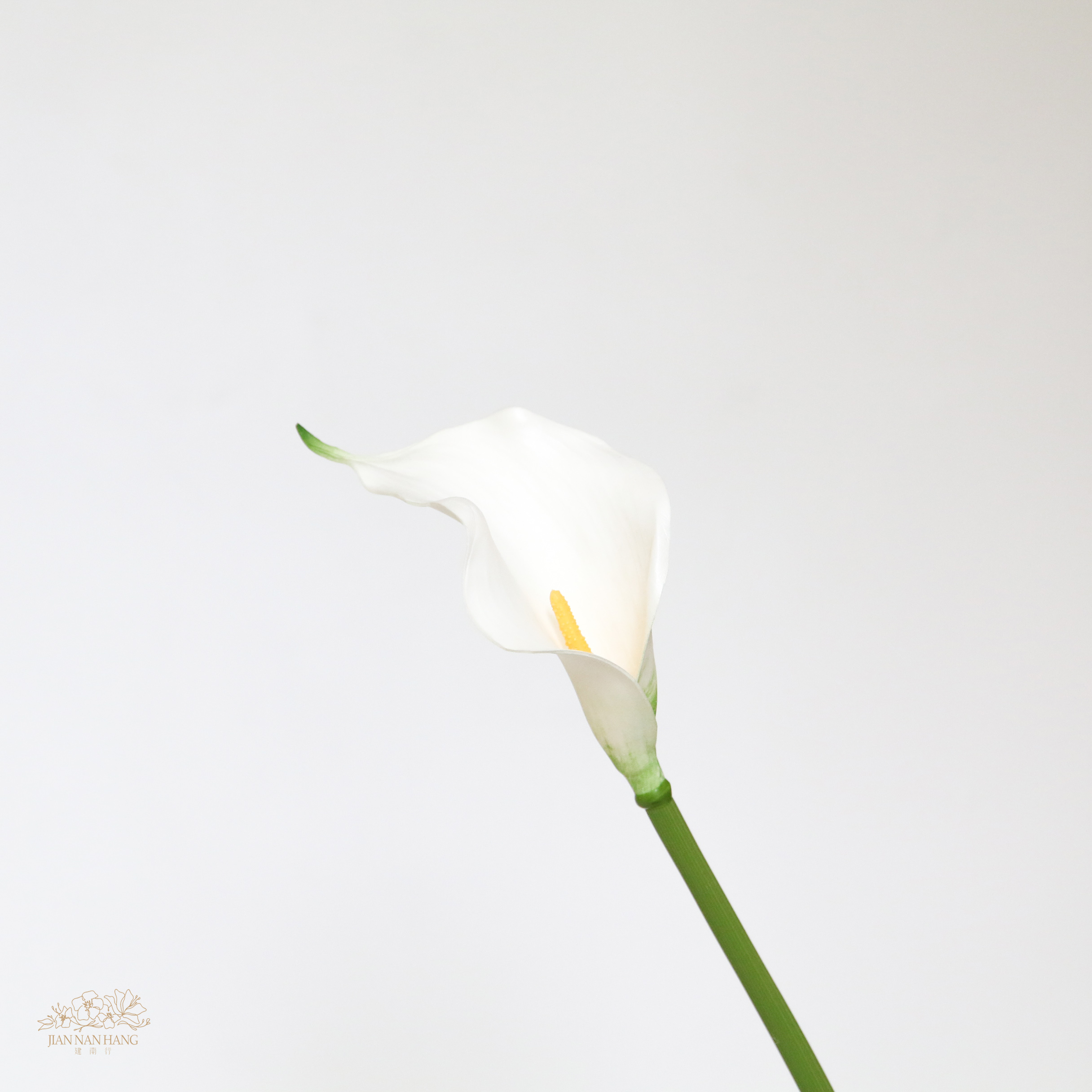 人造花 馬蹄蓮 小 白