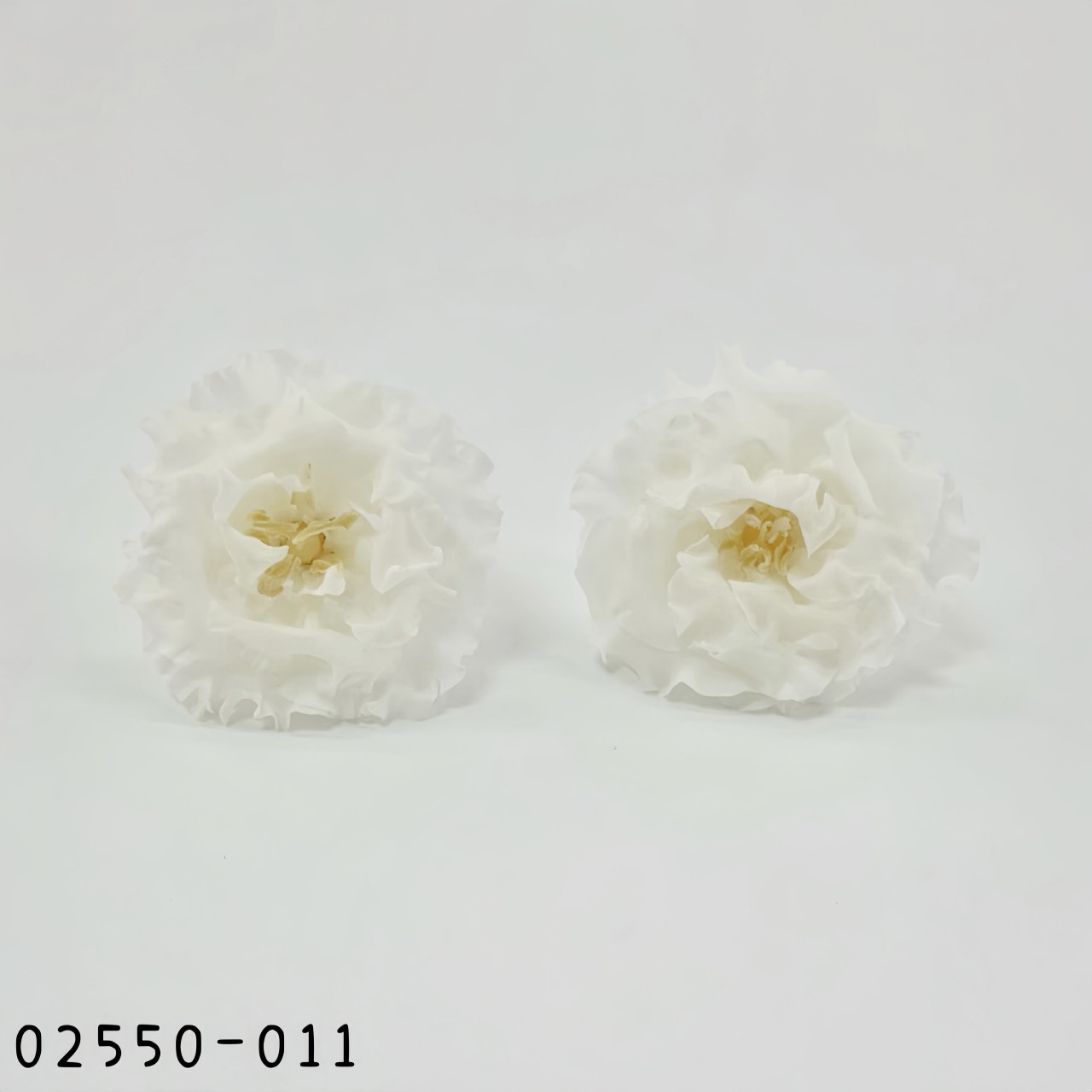 日本不凋荷葉洋桔梗02550-011《秋季新品》