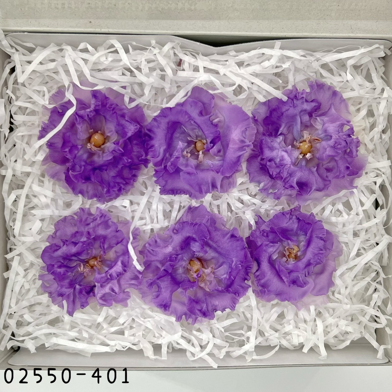 日本不凋荷葉洋桔梗02550-401《秋季新品》