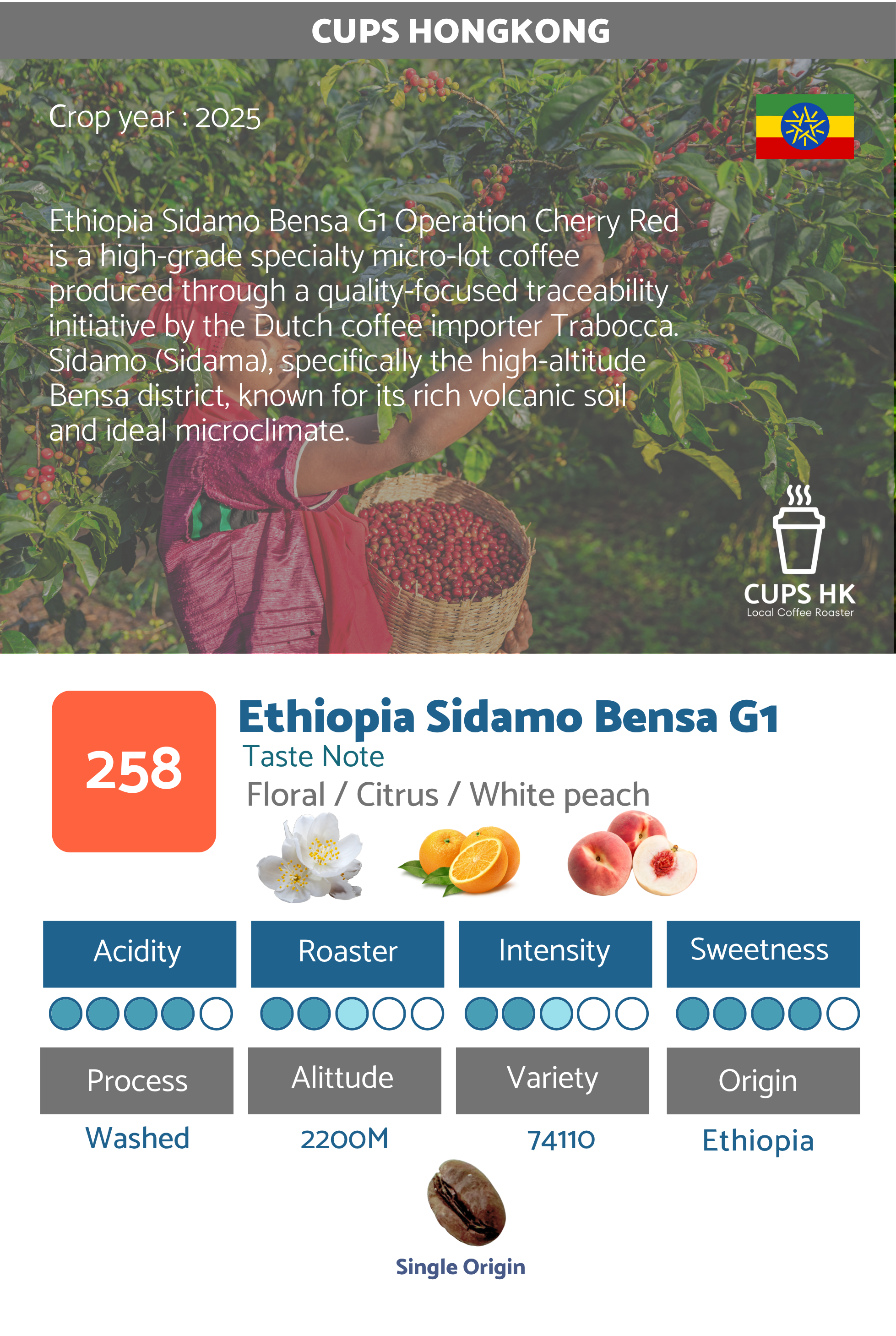 258： Ethiopia Sidamo Bensa 衣索比亞 聖達摩 Bensa G1 - 紅櫻桃計畫