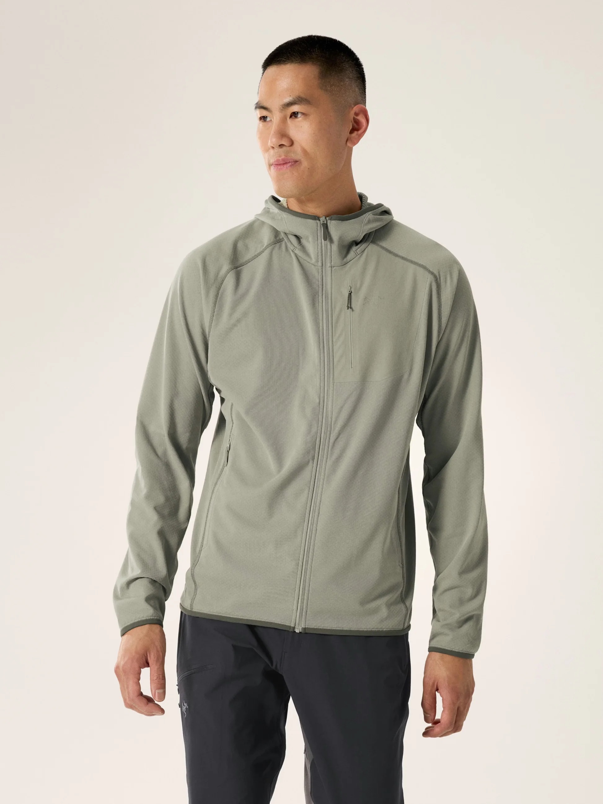 Arcteryx Delta Hoody M Habitat