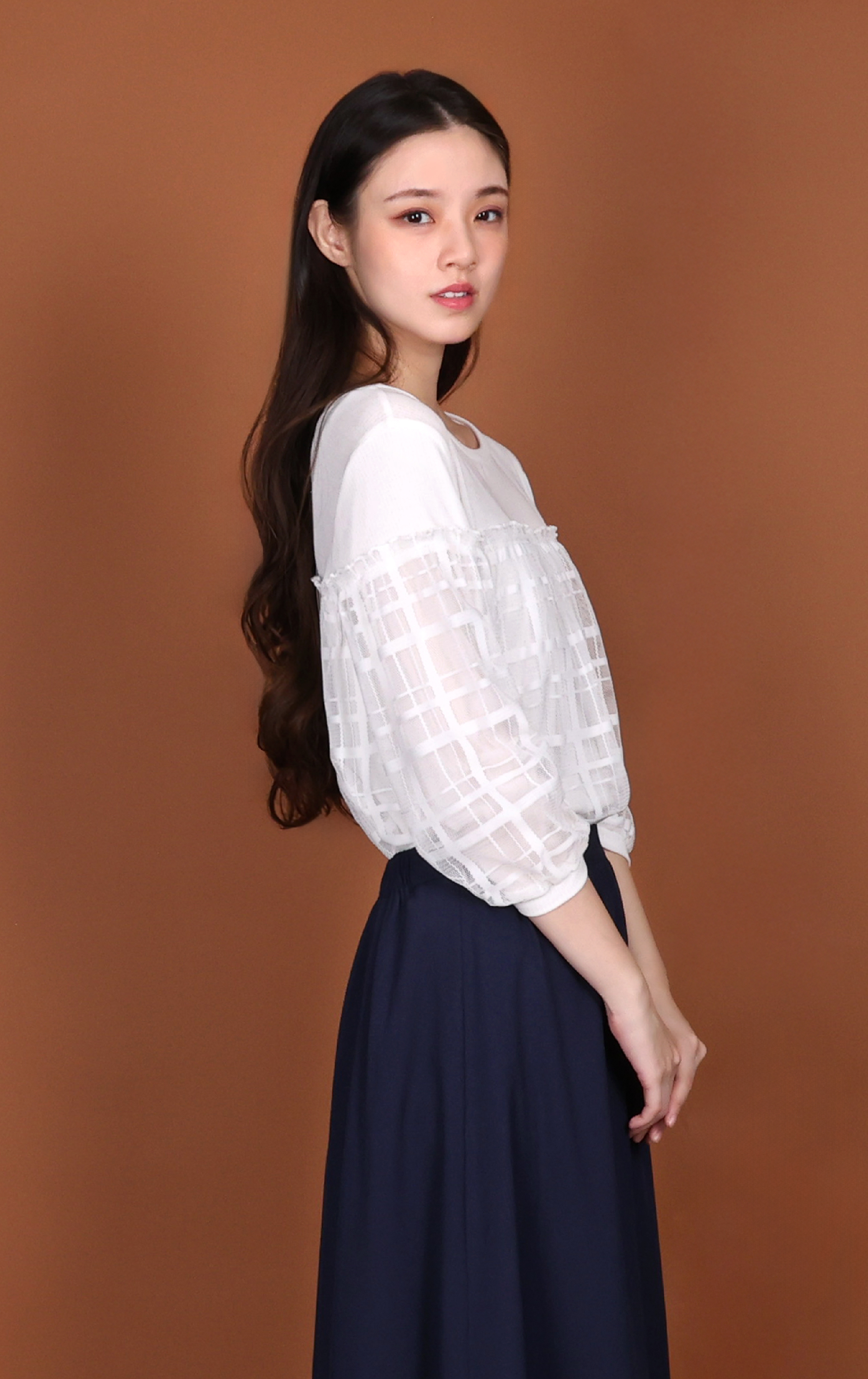 Sheer Plaid Lace Panelled Puff Sleeve Top LT0884
