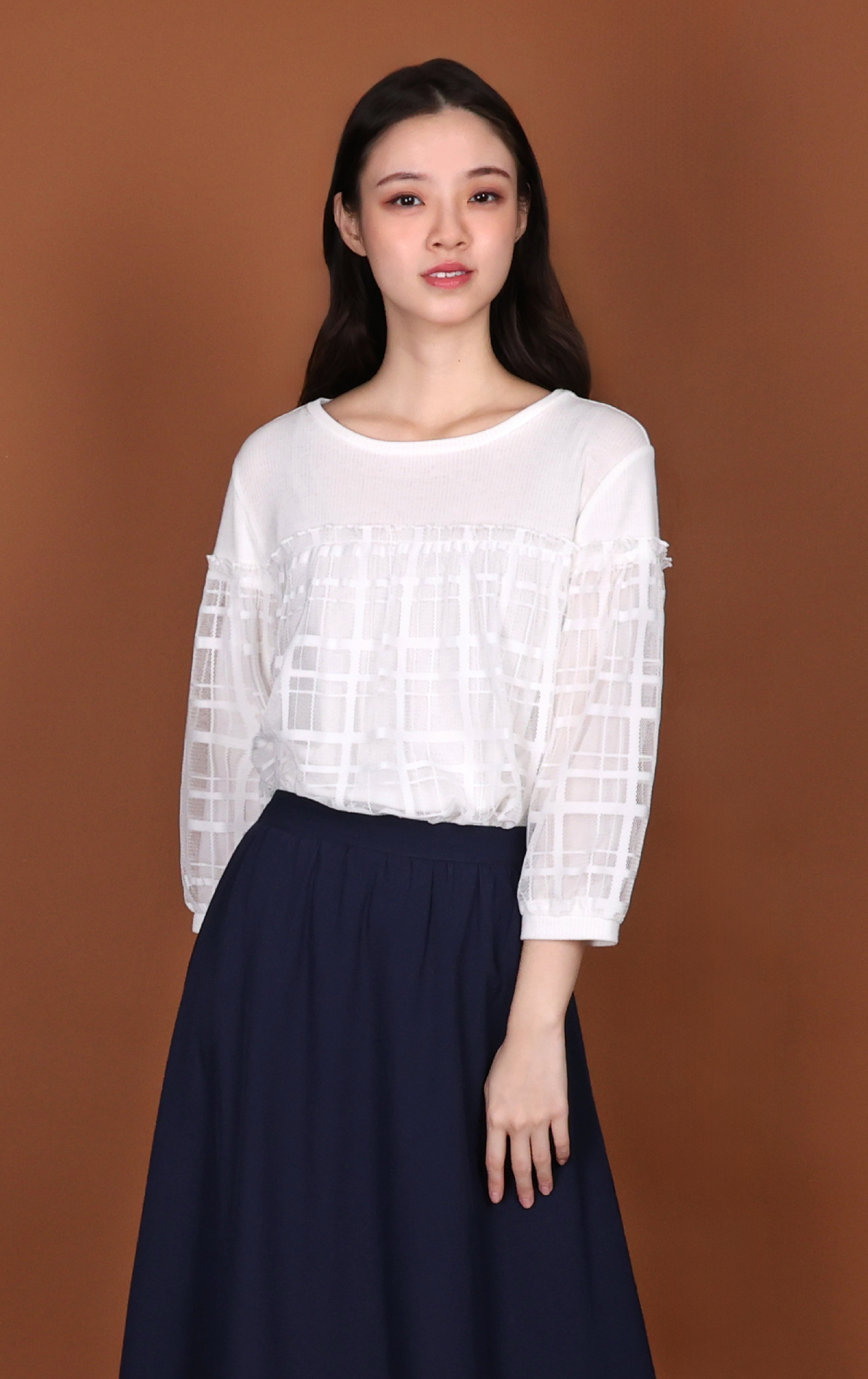 Sheer Plaid Lace Panelled Puff Sleeve Top LT0884