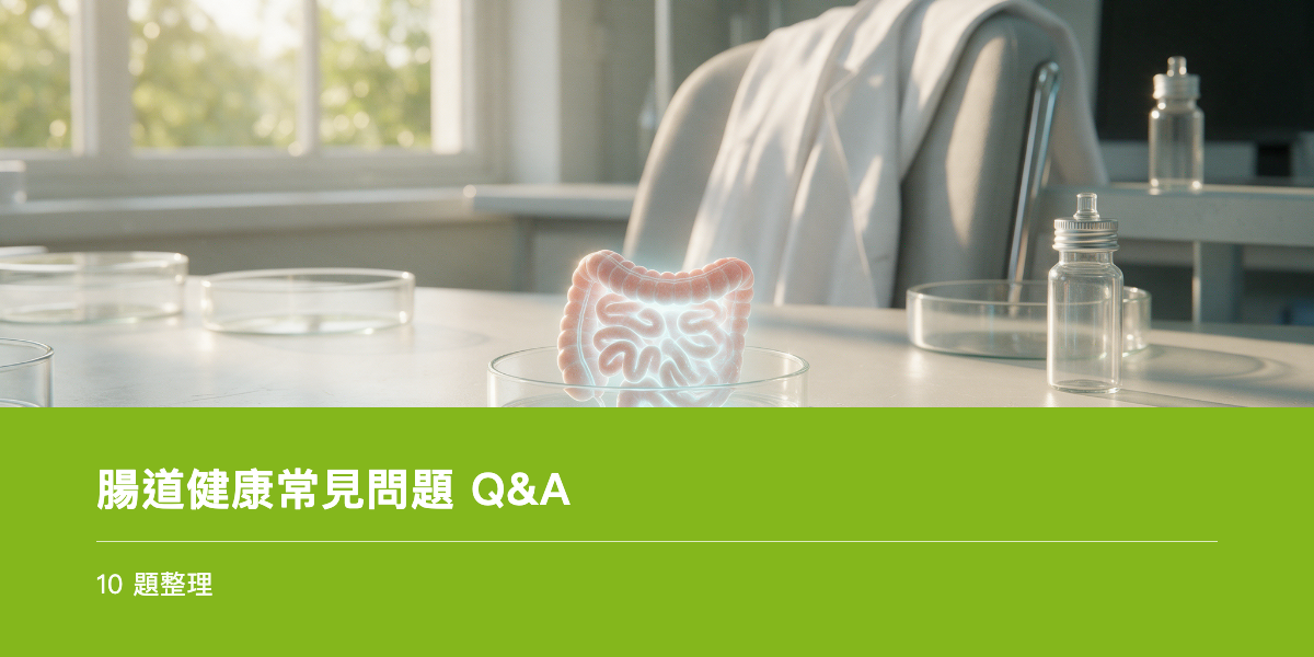 清爽自然光線下的腸道保養情境，象徵腸道系列總結