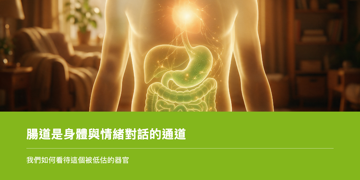 腸道是身體與情緒對話的通道：我們如何看待這個被低估的器官