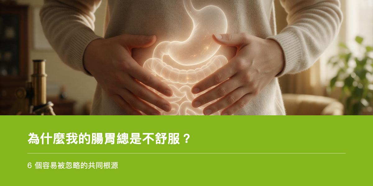 為什麼我的腸胃總是不舒服？6 個容易被忽略的共同根源