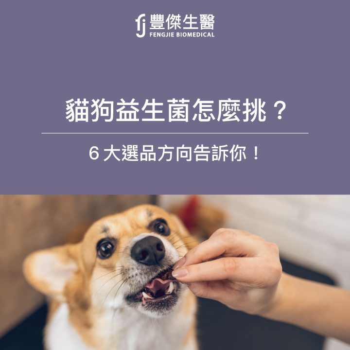 貓狗益生菌怎麼挑？營養師告訴你6大挑選注意事項