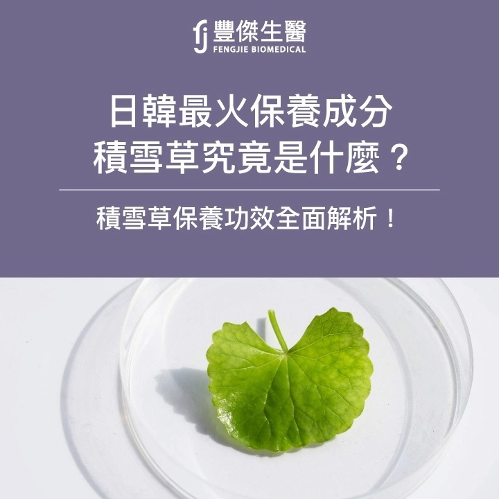 積雪草（雷公根）是什麼？韓系保養爆紅成分，一篇看懂功效用法