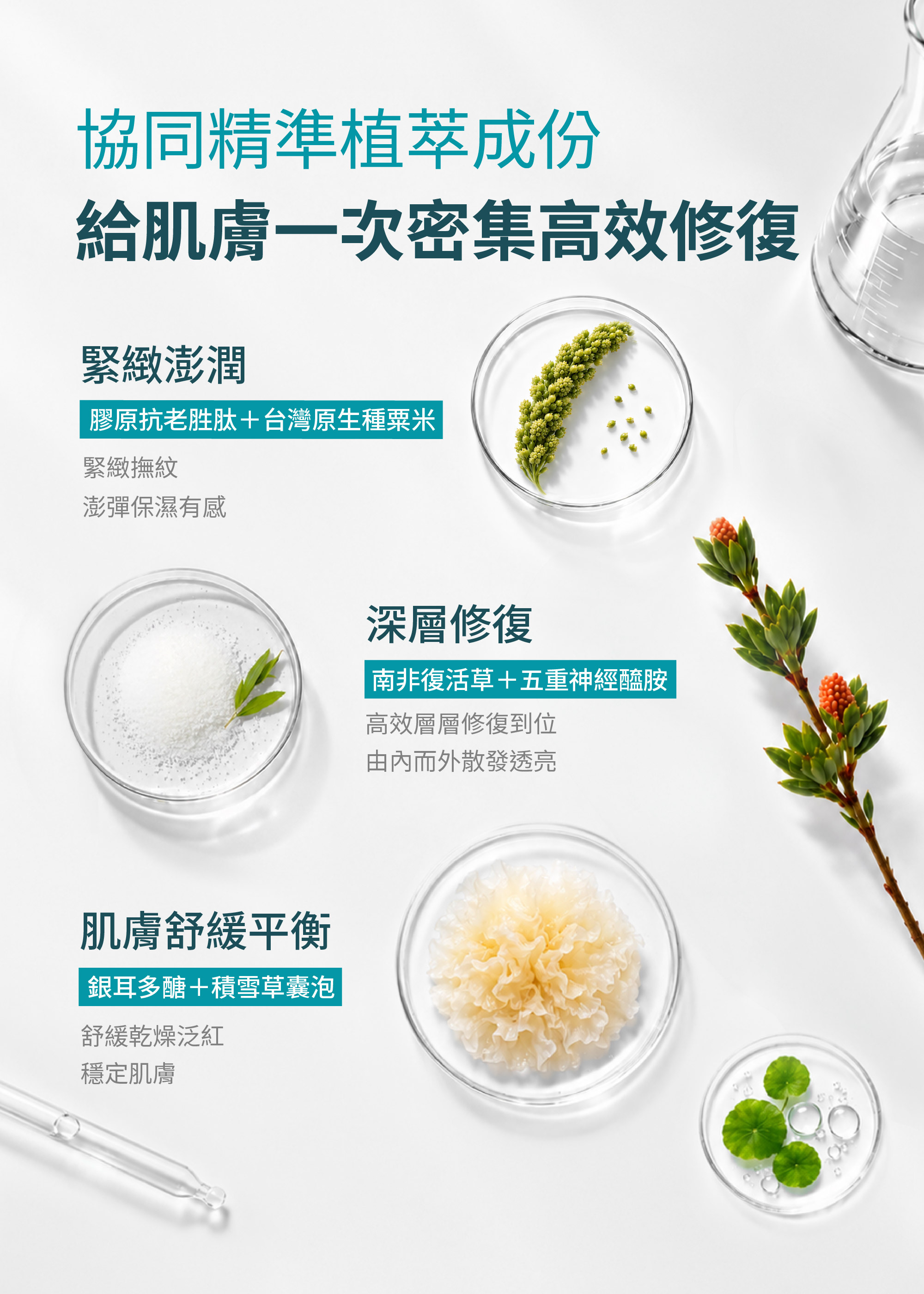 植效精準賦活修復面膜植萃成分:膠原胜肽與台灣原生種粟米、南非復活草與五重神經醯胺、銀耳多醣與積雪草囊泡,實驗室培養皿陳列