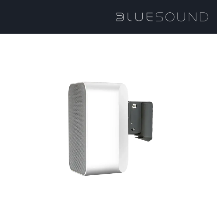Bluesound PULSE FLEX 掛牆架 (1隻)