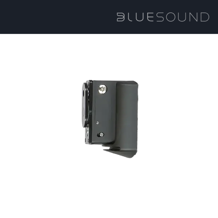 Bluesound PULSE FLEX 掛牆架 (1隻)