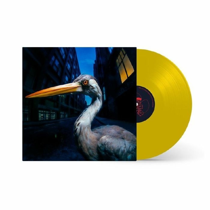 Antony Szmierek《Decoding Birdsong》（限量彩膠LP）