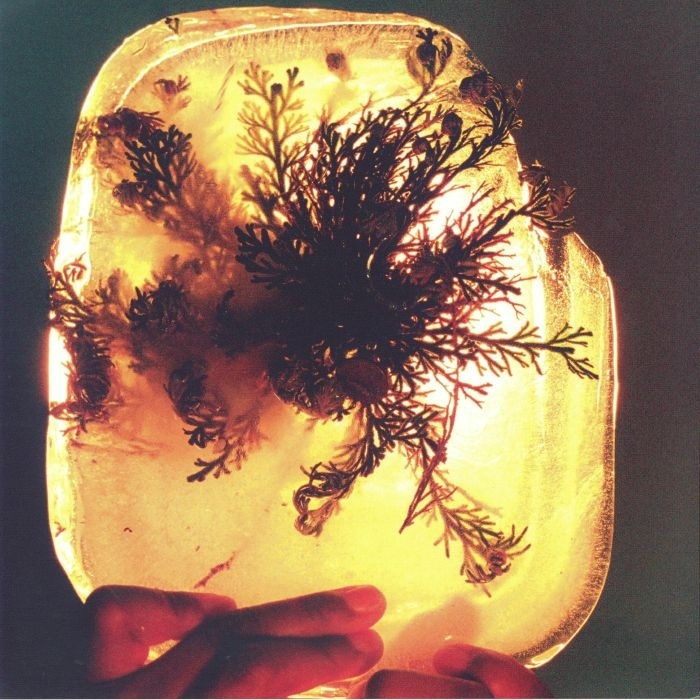 L'Rain《Fata Morgana》（LP）