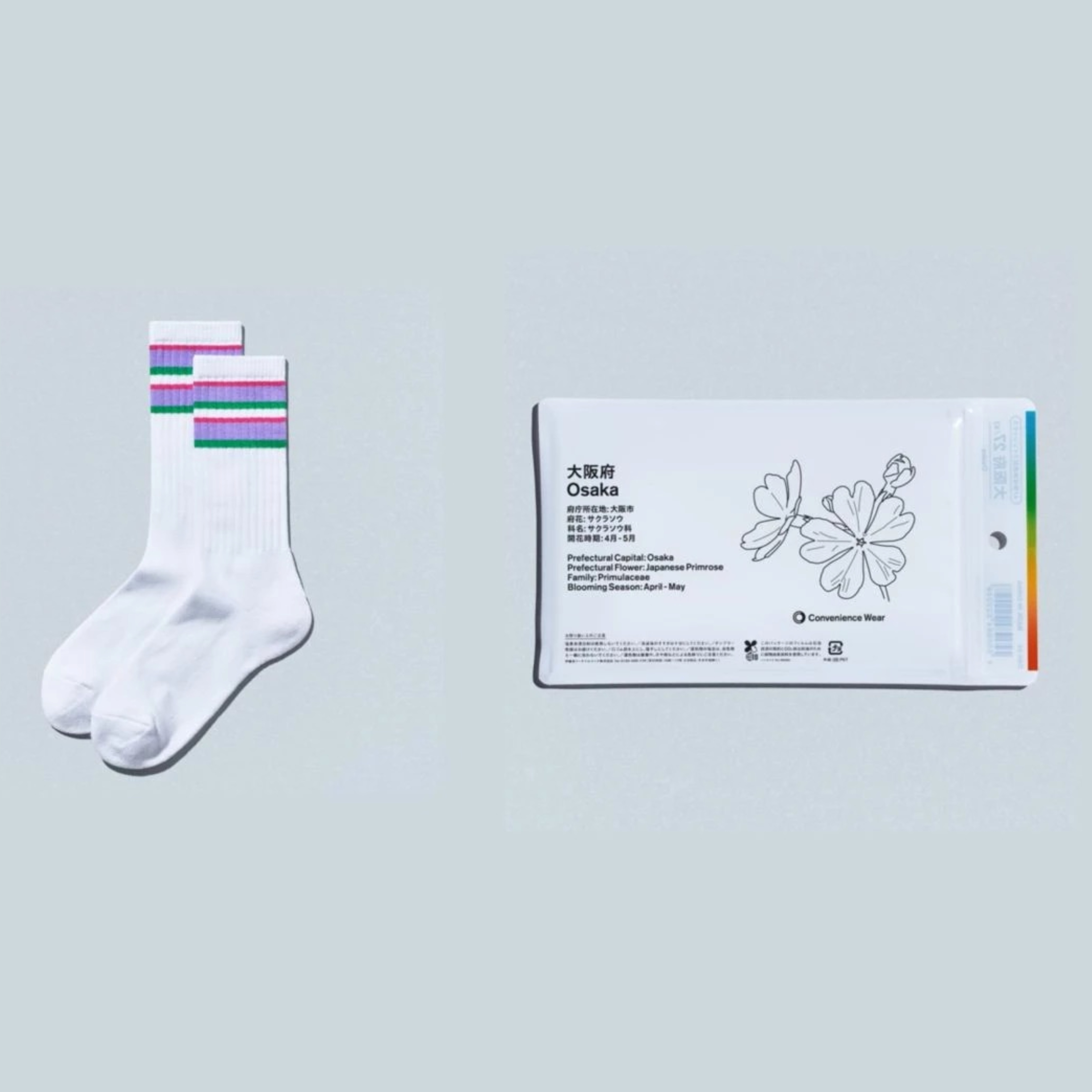 2026AW 日本 全家便利商店 限定 LINE SOCKS 大阪 限定 條紋 長襪 襪子 現貨