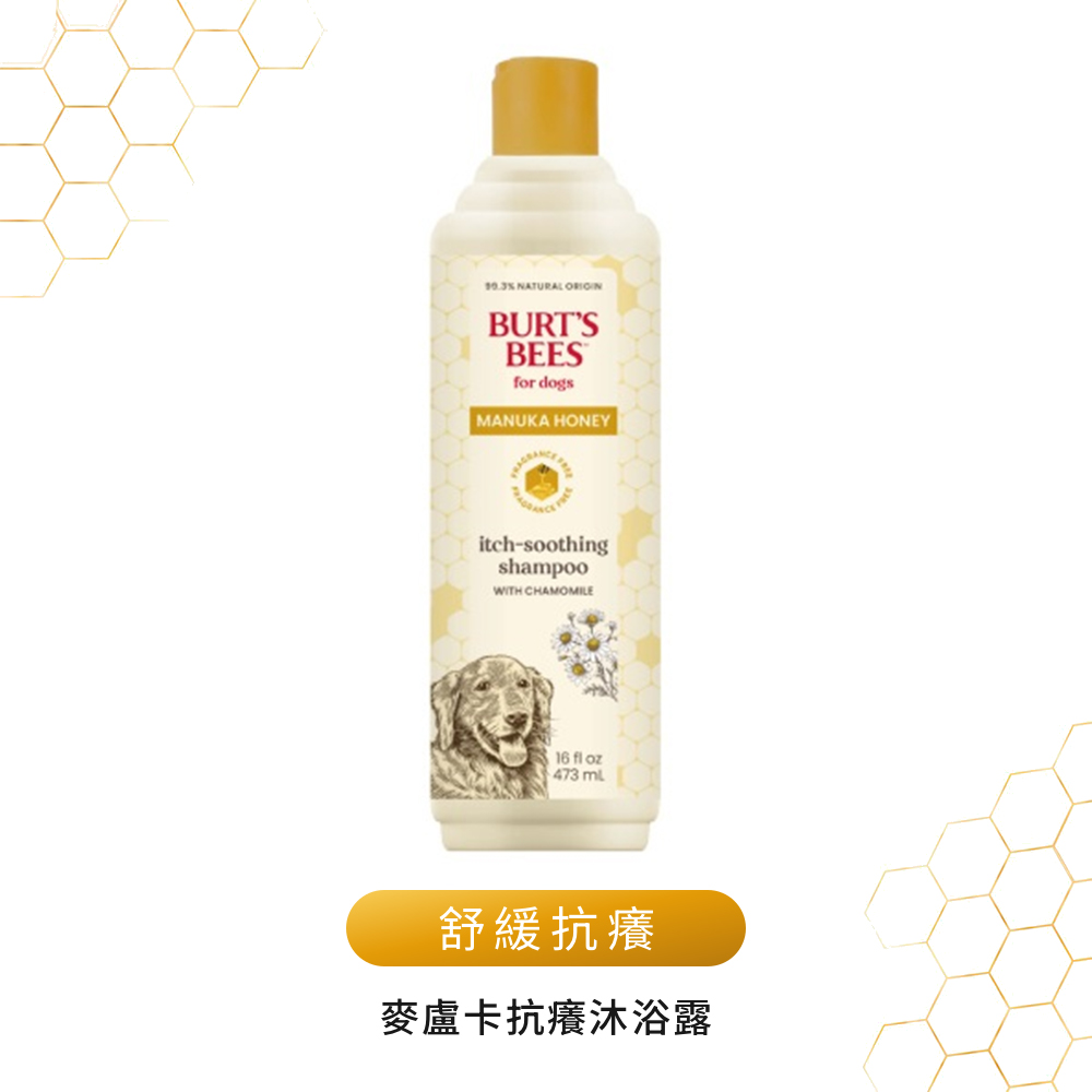 BB 麥盧卡抗癢沐浴露 (犬用)