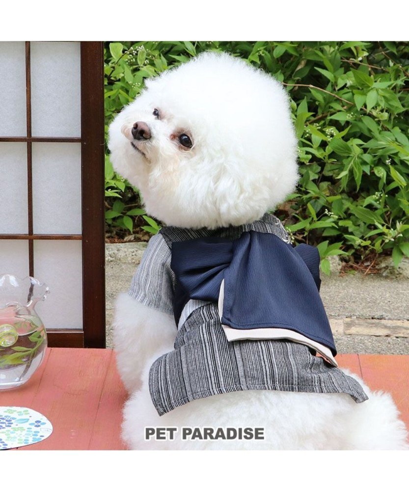 【Pet Paradise】Yukata - Black & White Stripe with Dragonfly Embroidery <633-29018>