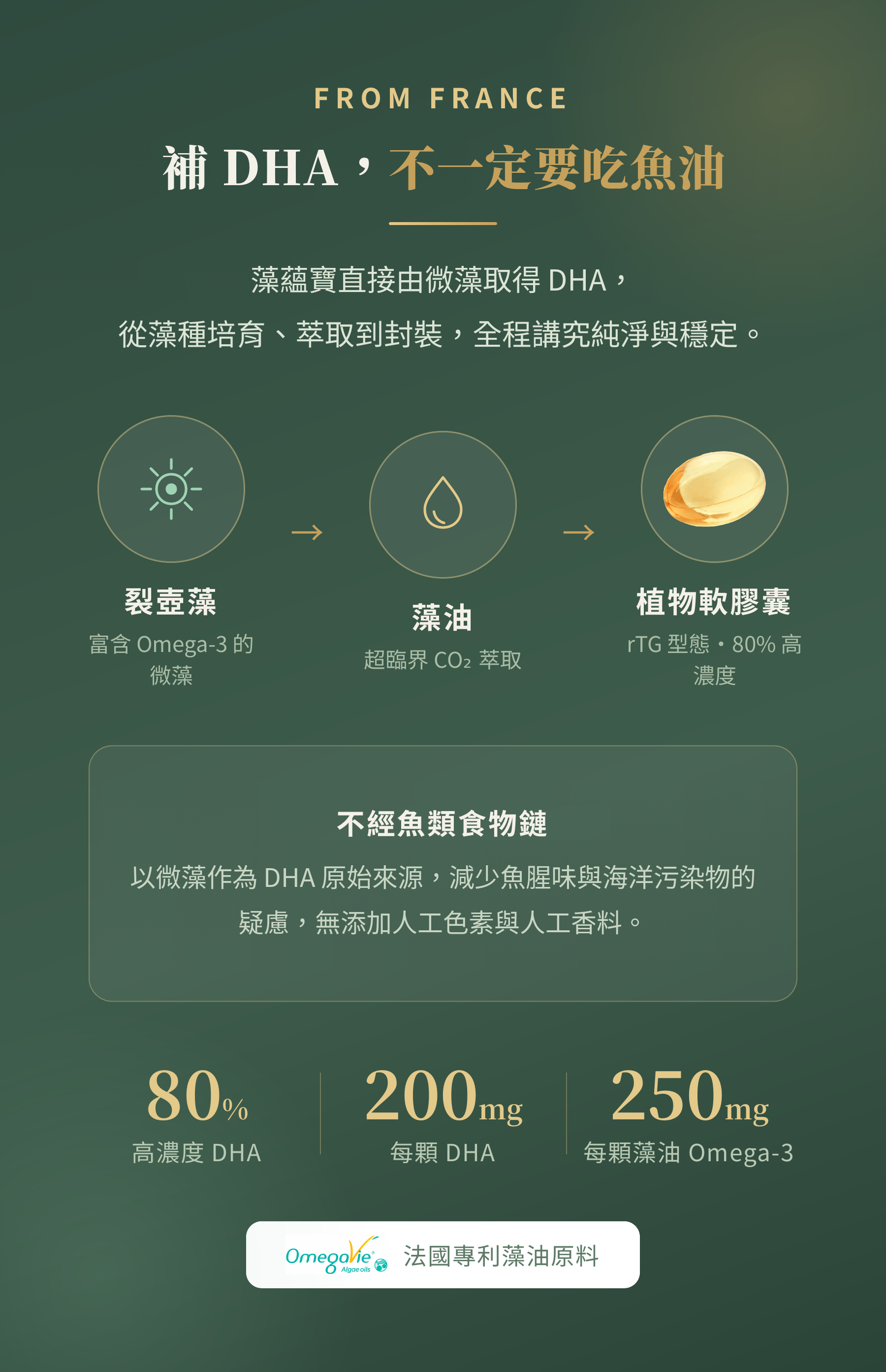 補DHA不一定要吃魚油 法國純淨微藻來源