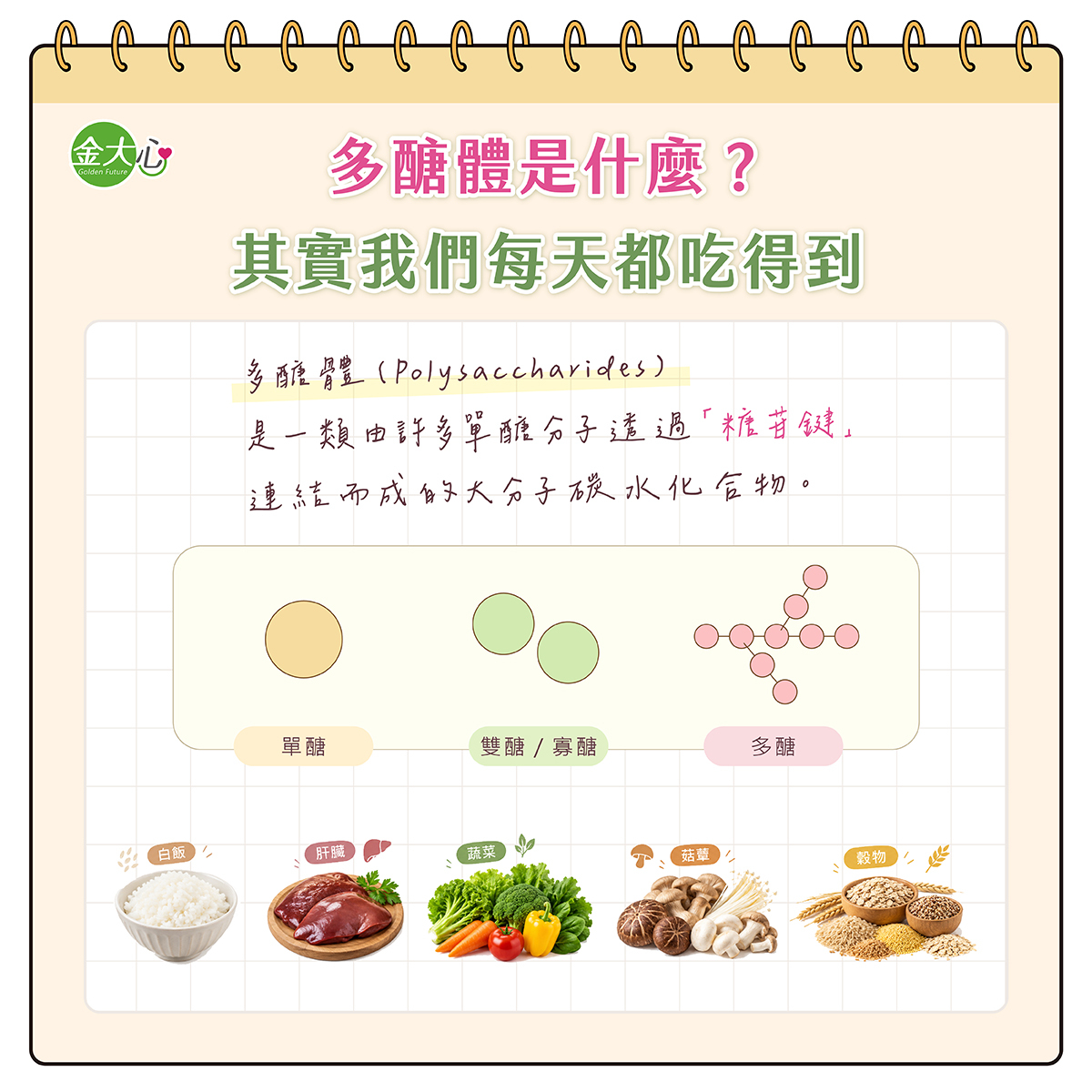 多醣體是由許多單醣透過糖苷鍵連結而成的碳水化合物