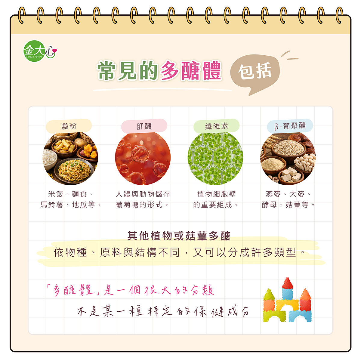 常見多醣體包含澱粉、肝醣、纖維素與β-葡聚醣
