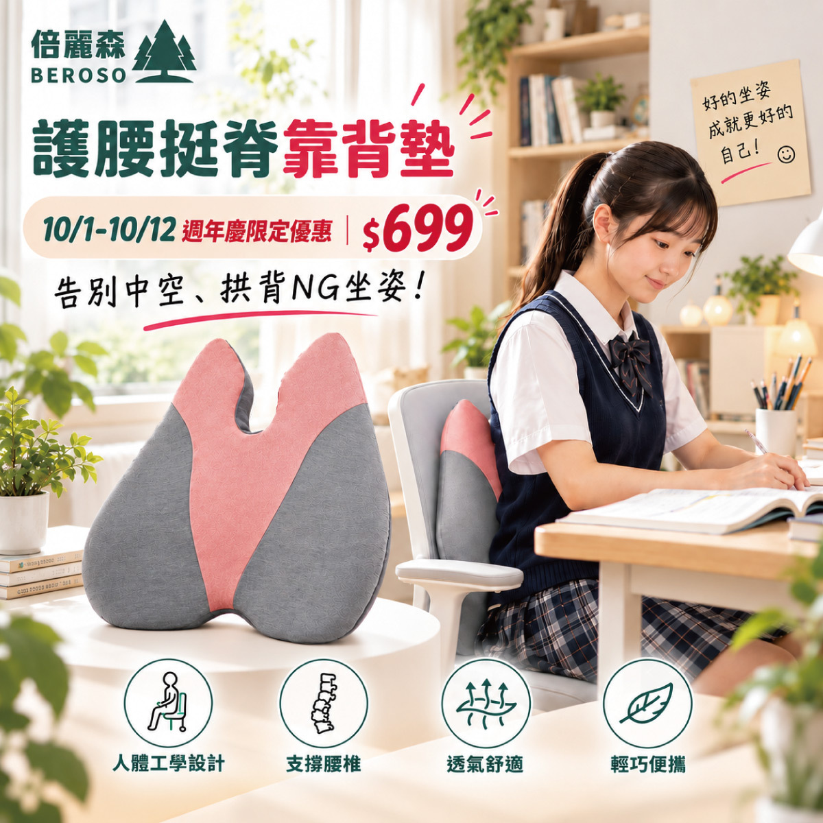 Backrest Pillow