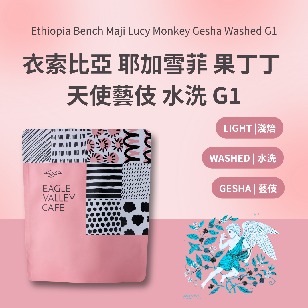 衣索比亞 耶加雪菲 果丁丁 天使藝伎 水洗 日曬 G1 淺焙 咖啡豆