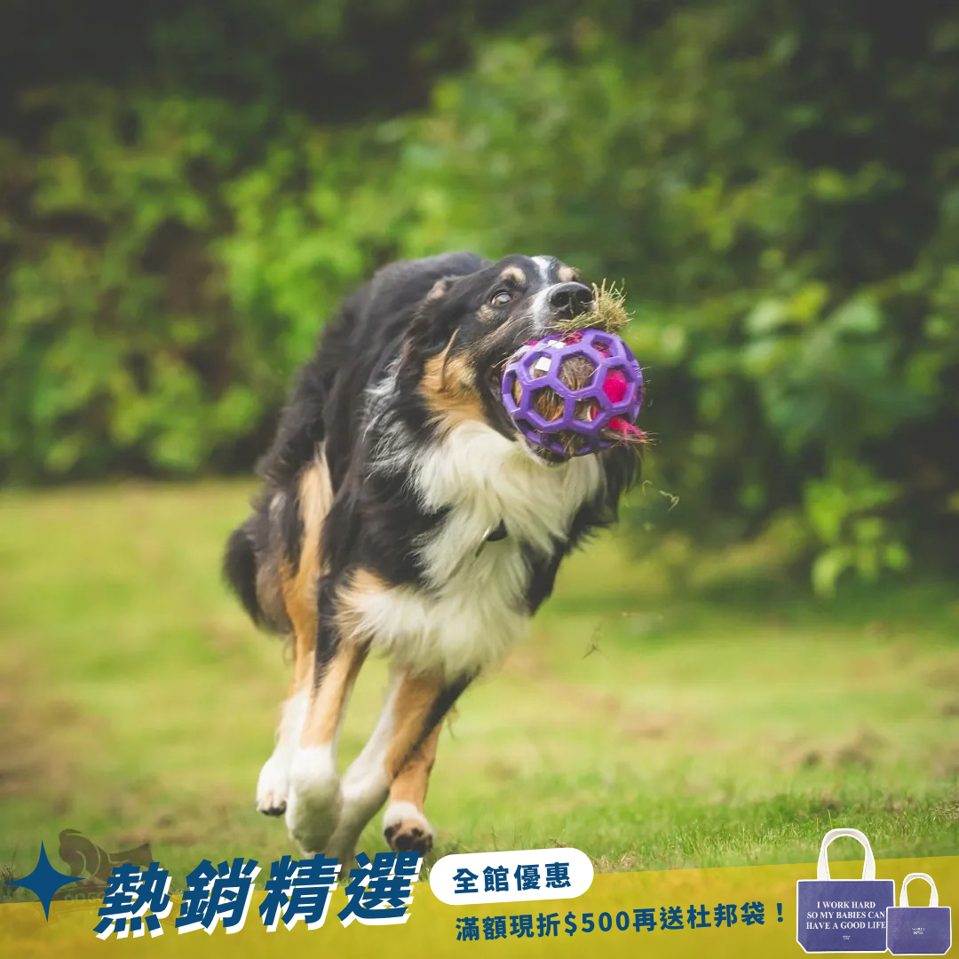 瑞典Doggie-Zen｜Hol-ee鹿毛球玩具 (M)