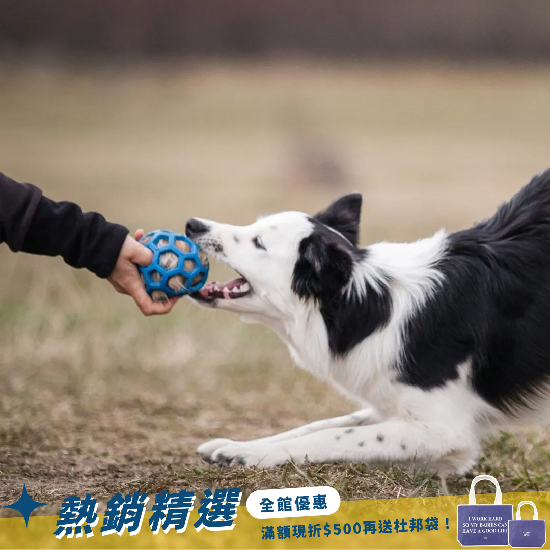 瑞典Doggie-Zen｜Hol-ee狐狸毛球玩具 (M)