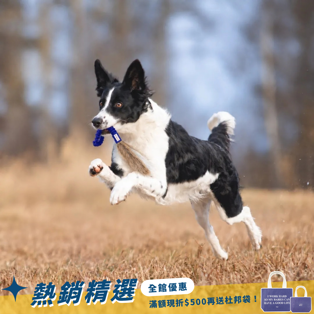 瑞典Doggie-Zen｜彈力山羊毛口袋玩具