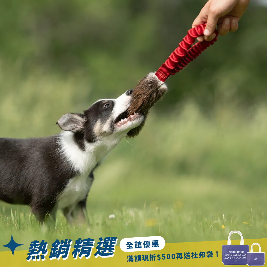 瑞典Doggie-Zen｜彈力海狸毛口袋玩具