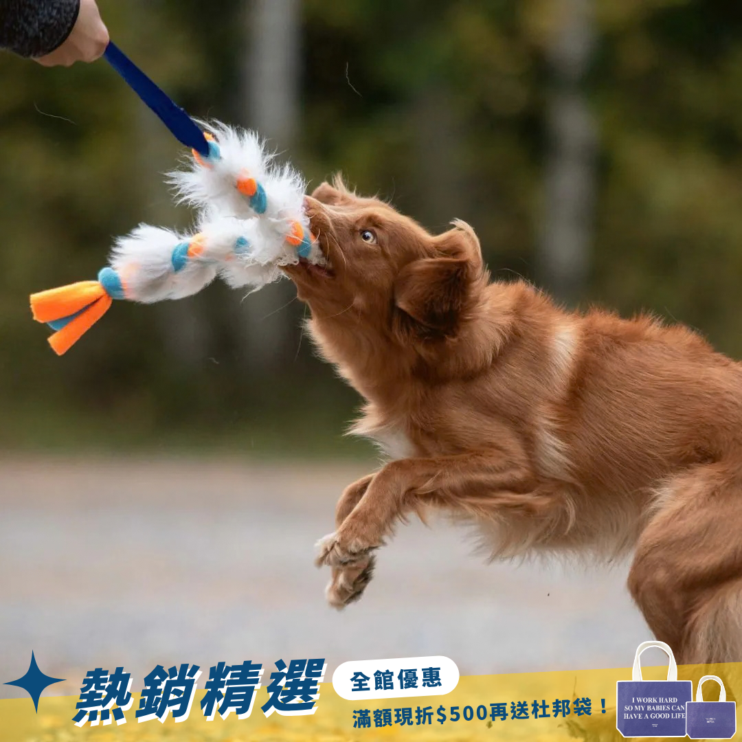 瑞典Doggie-Zen｜彈力摩弗倫羊毛絨編繩玩具
