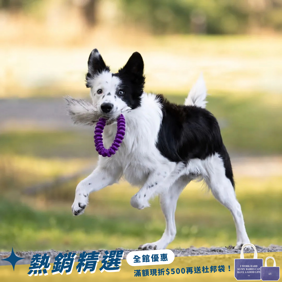 瑞典Doggie-Zen｜彈力獾毛口袋玩具