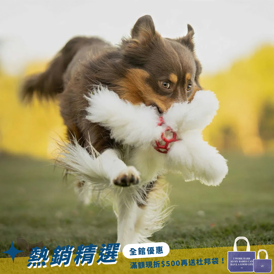 瑞典Doggie-Zen｜多爪羊毛 + JW Hol-ee啾啾球玩具 (S)