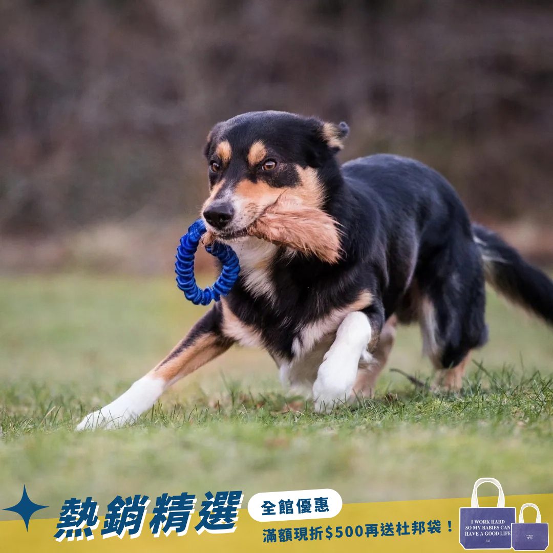 瑞典Doggie-Zen｜彈力兔毛口袋玩具