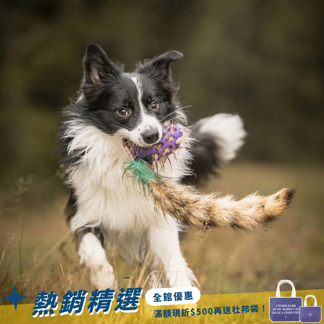 瑞典Doggie-Zen｜Hol-ee足球浣熊尾玩具
