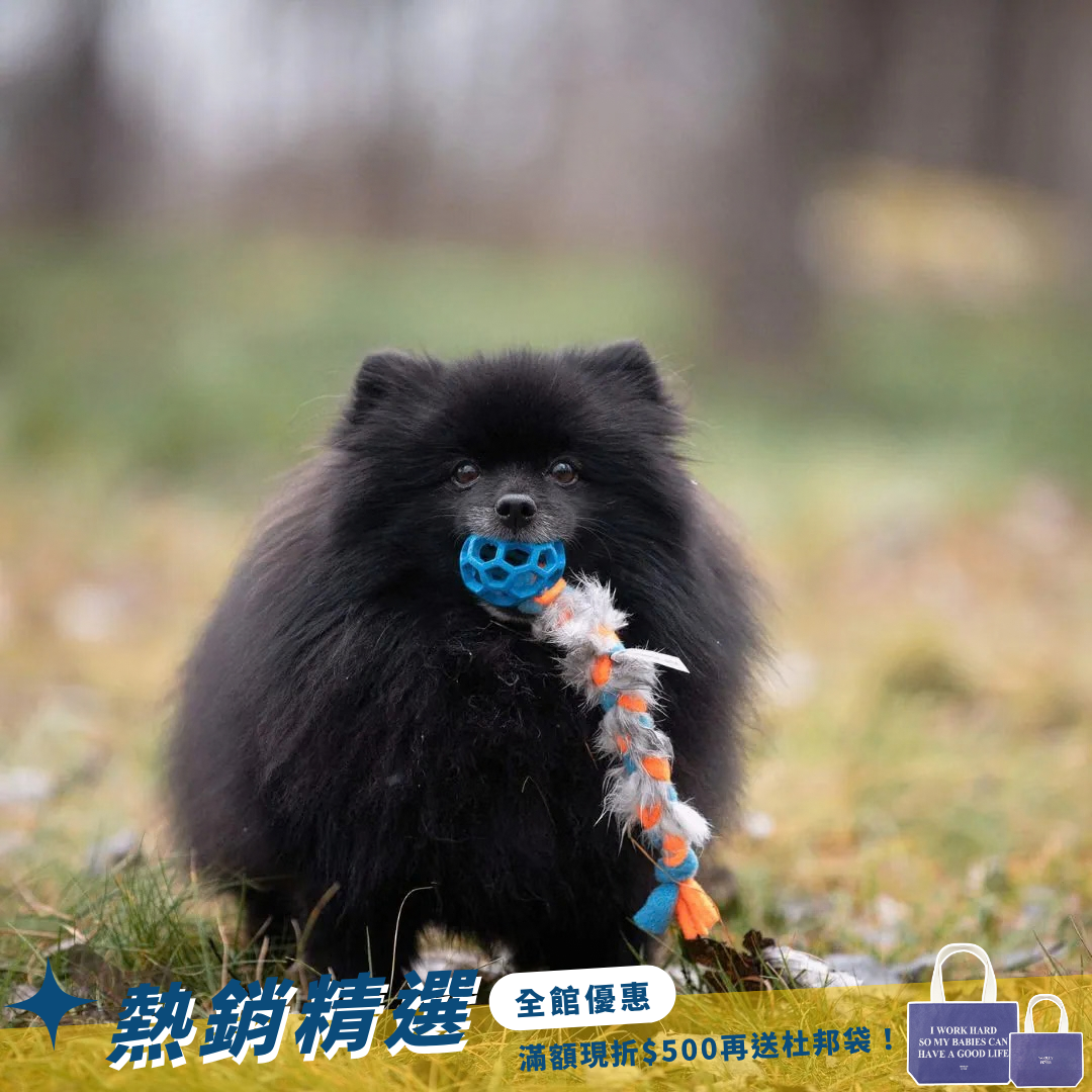 瑞典Doggie-Zen｜兔毛絨編繩  + JW Hol-ee球玩具 (XS)