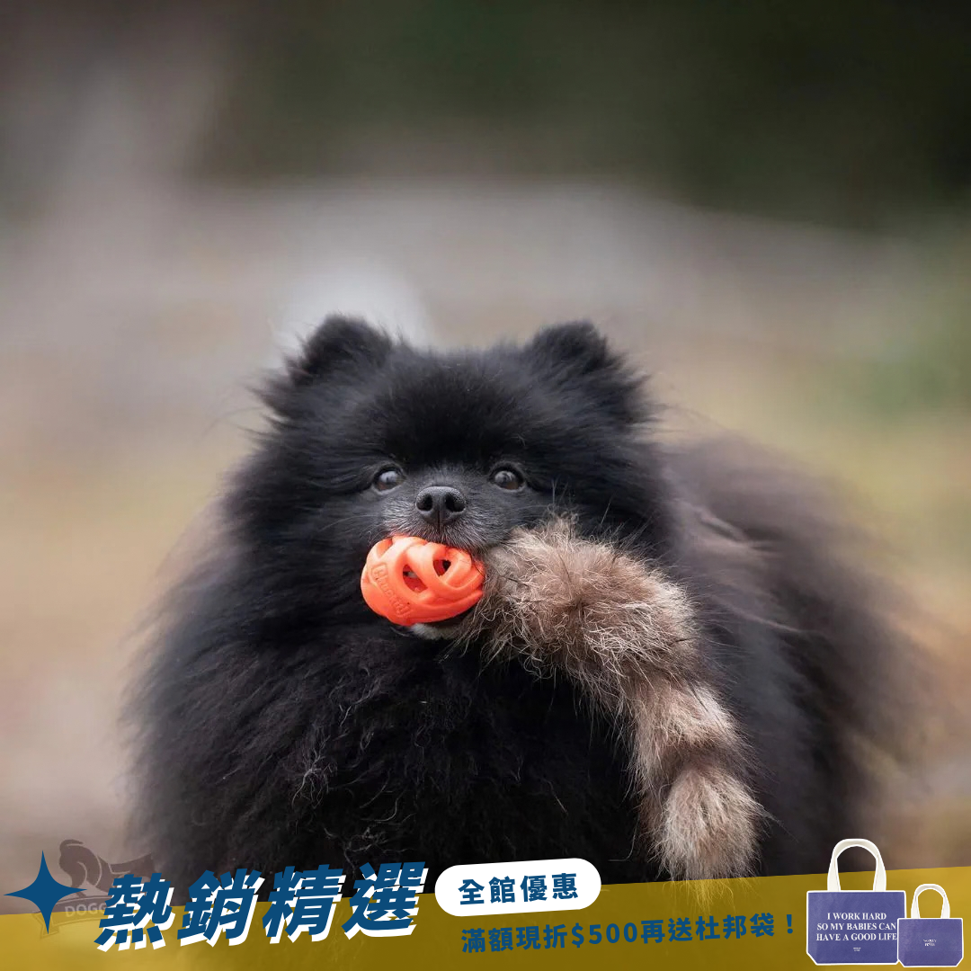 瑞典Doggie-Zen｜Chuckit Air球浣熊尾玩具 (S)