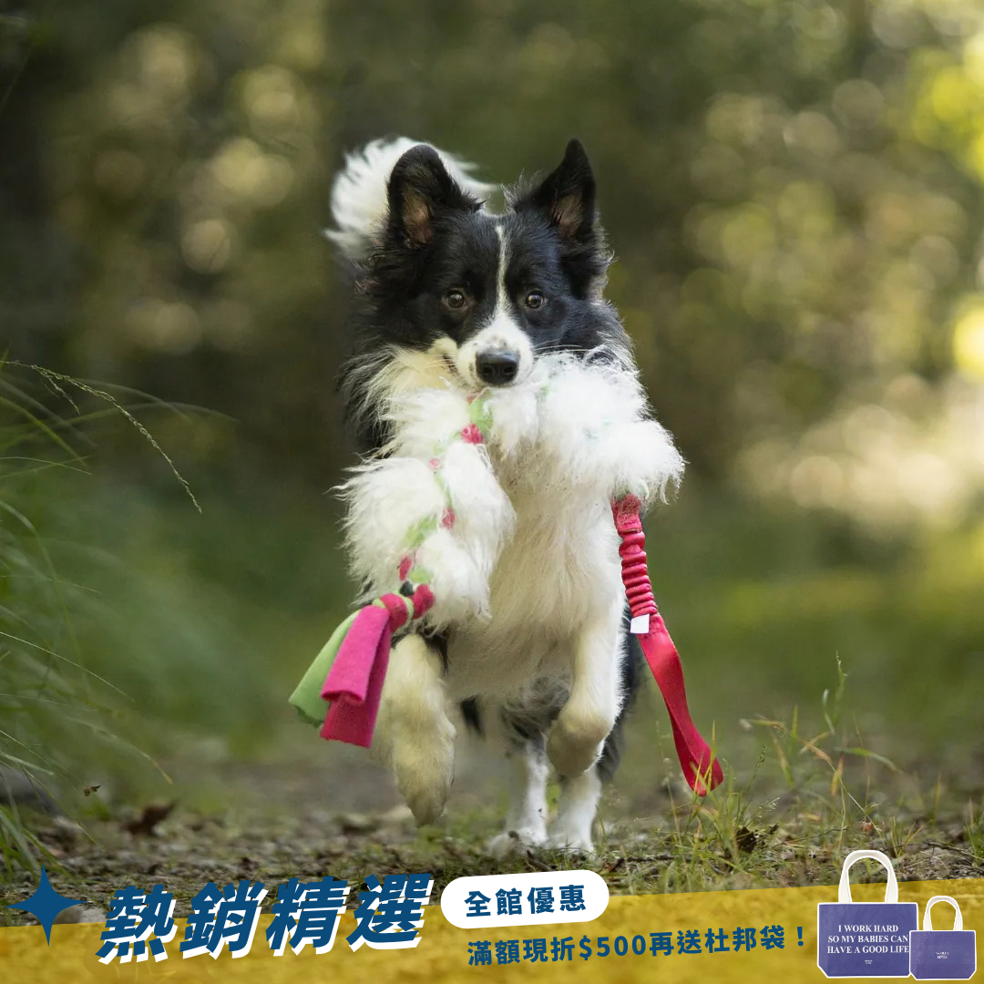 瑞典Doggie-Zen｜彈力羊毛絨編繩玩具
