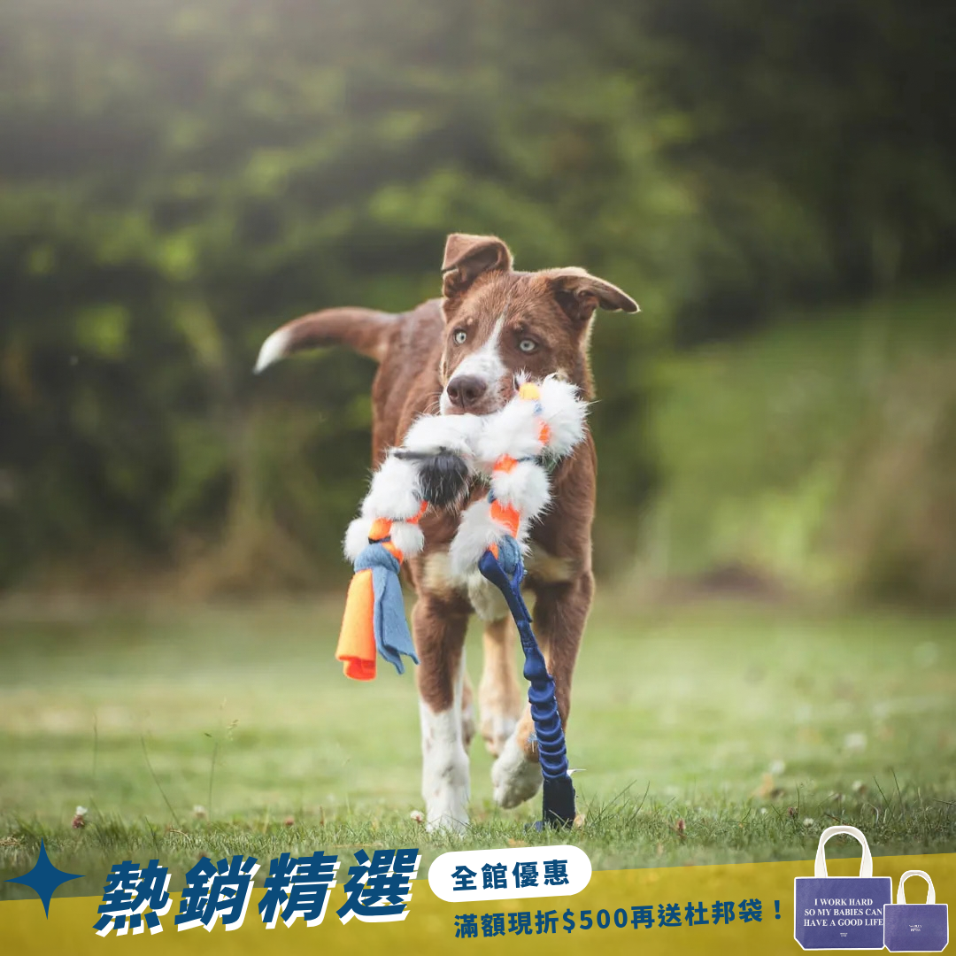 瑞典Doggie-Zen｜彈力兔毛絨編繩玩具