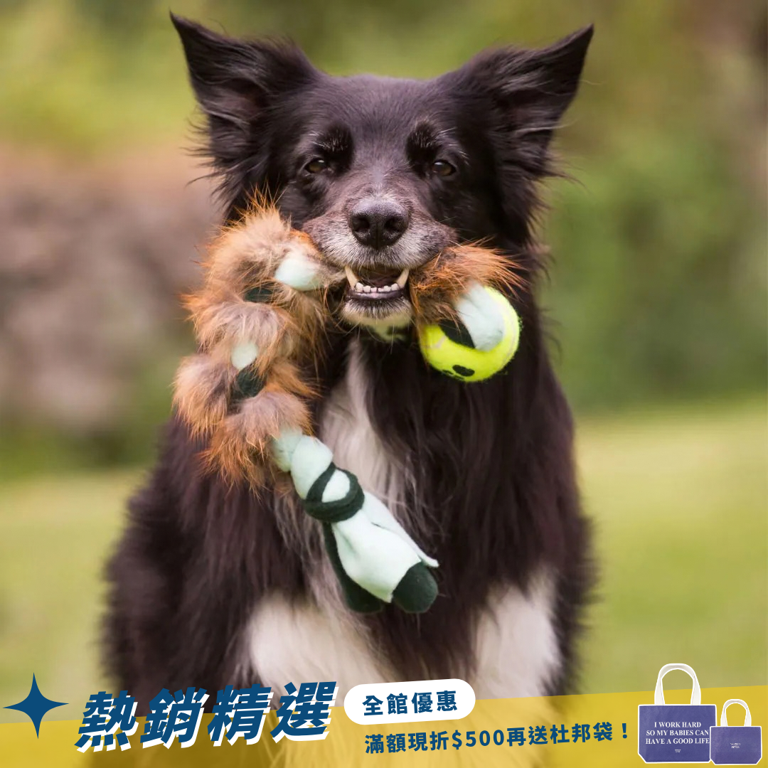 瑞典Doggie-Zen｜狐狸毛絨編繩 + KONG AIR啾啾球玩具