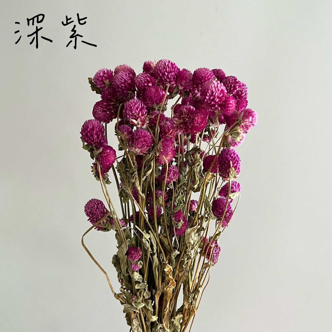 乾燥千日紅(把)