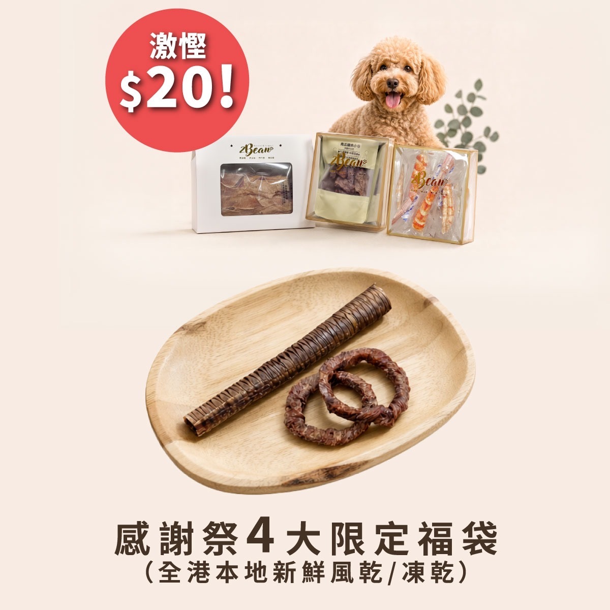《皇牌咬咬組合》—— 潔齒舒壓大滿足！