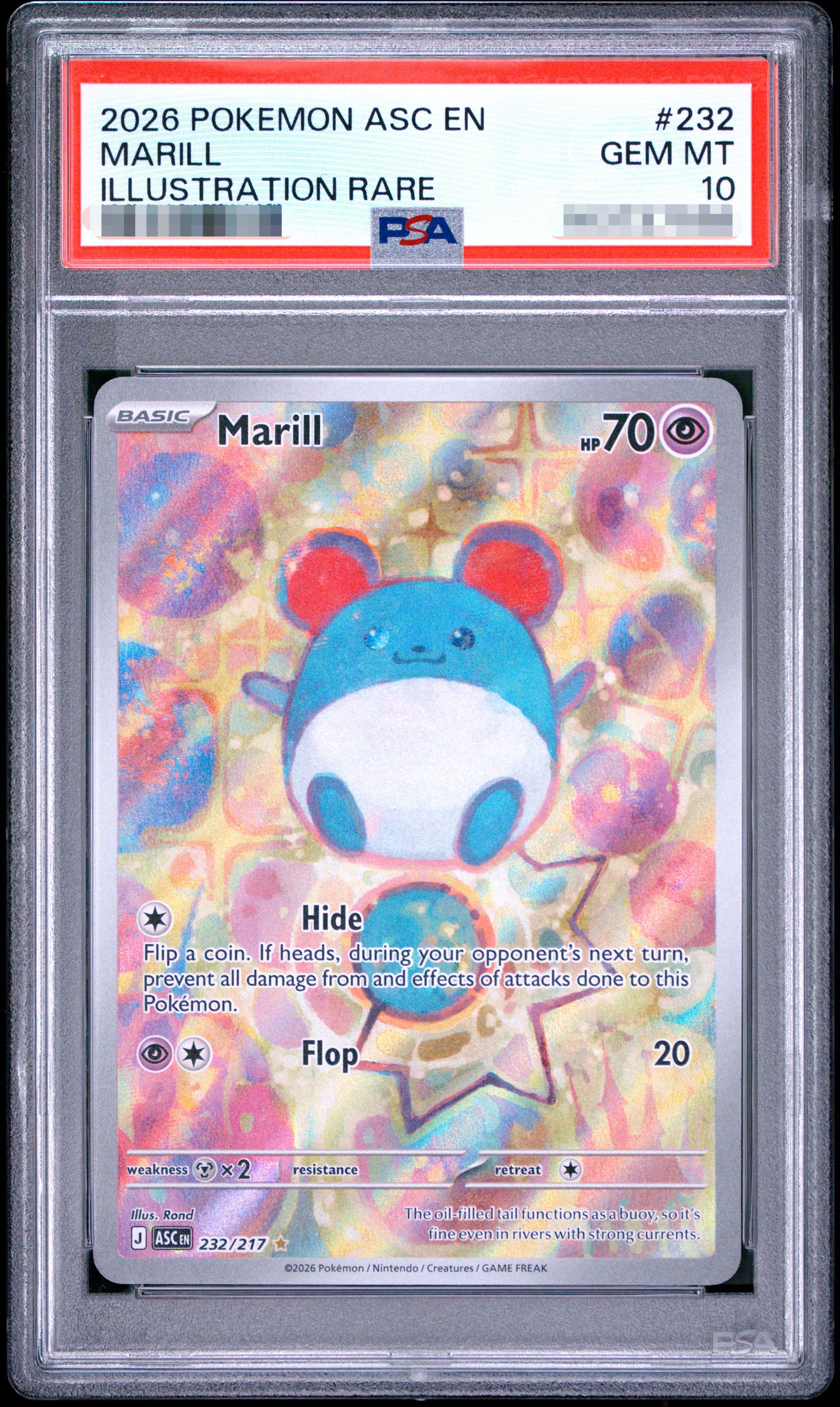 【PSA 10】2026 POKEMON Asc EN MARILL ILLUSTRATION RARE