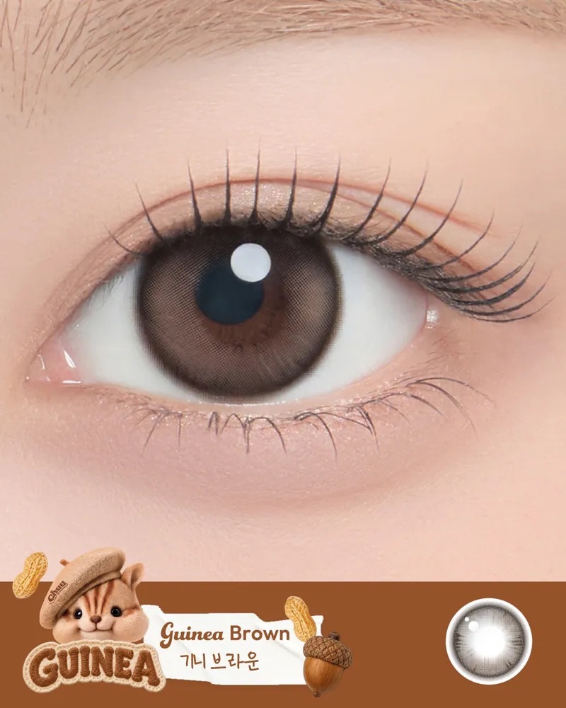[日拋] CHUU LENS Chippy-Co 1 Day Guinea Brown｜日拋彩妝隱形眼鏡｜每盒10片