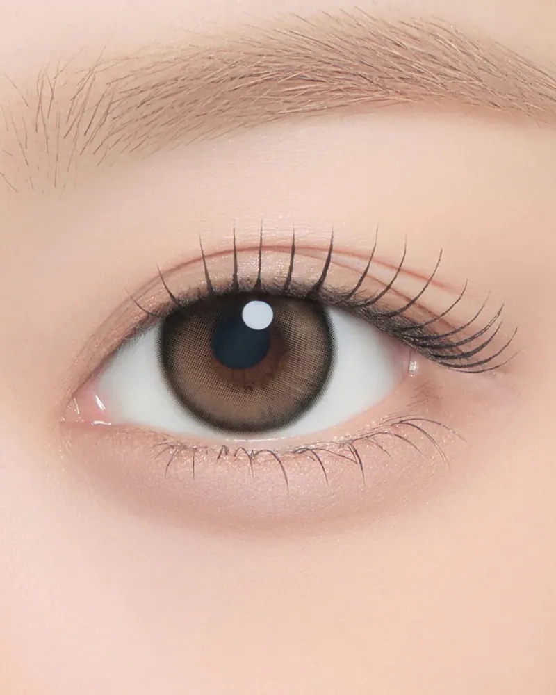 [月拋]  CHUU LENS Chippy-Co 1 Month Nutnut Brown｜月拋彩妝隱形眼鏡｜每盒2片