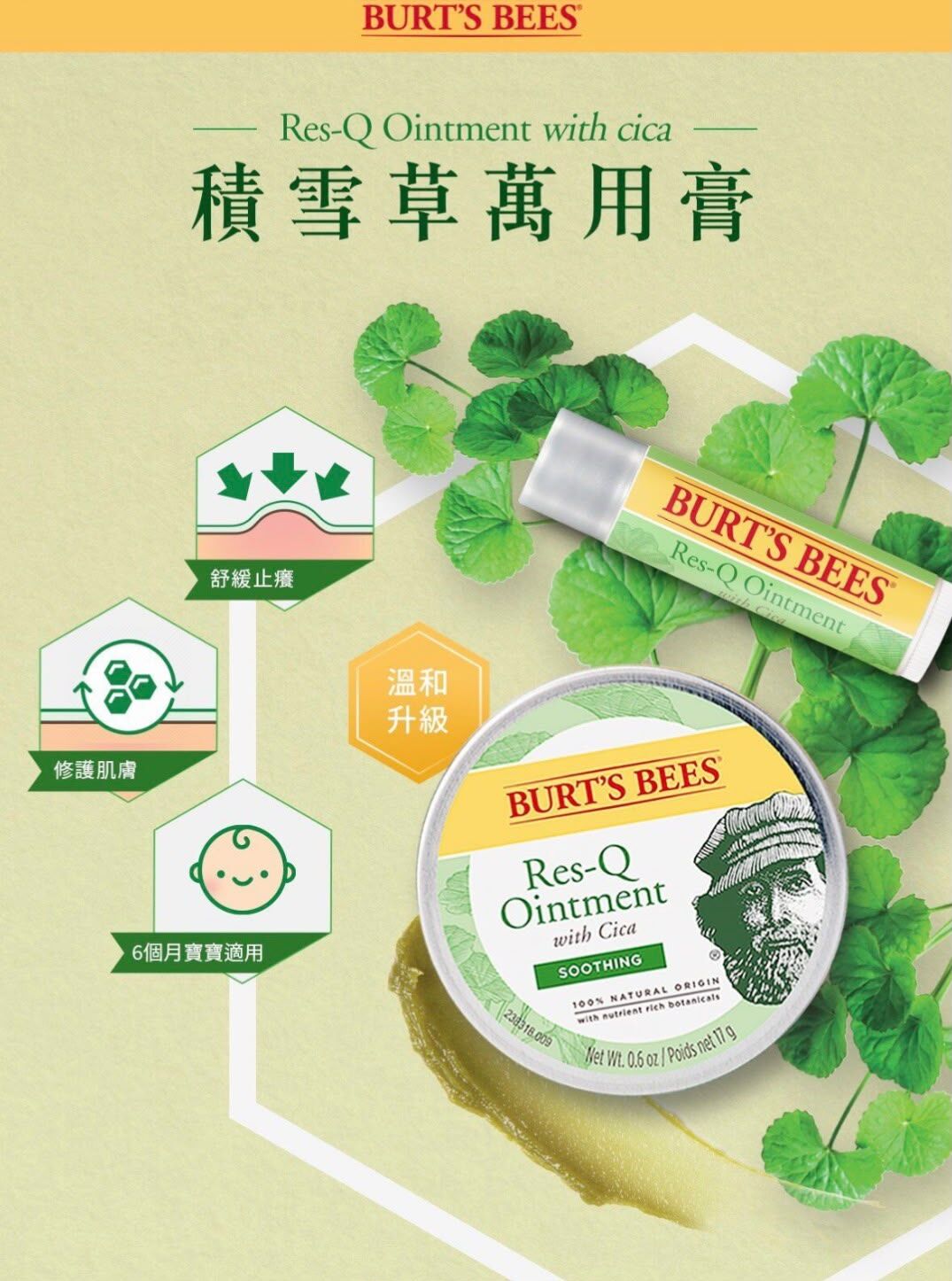 BURT'S BEES 積雪草萬用膏＋萬用膏筆 2件套裝