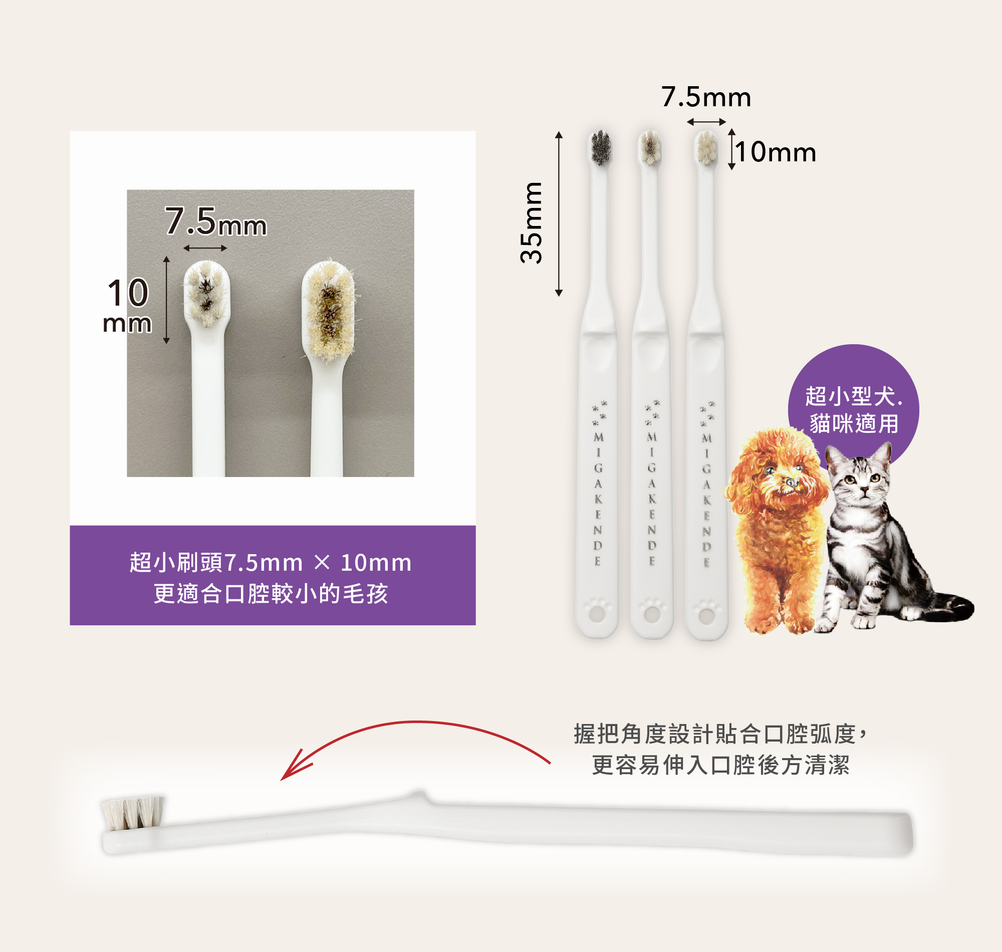 MIGAKENDE 敏齒樂迷你款刷頭尺寸7.5mm乘10mm，適合超小型犬與貓咪使用