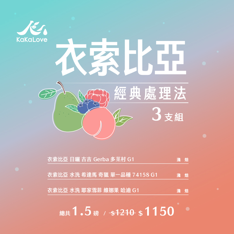 衣索比亞經典處理法三支組-日曬 多菓+ 水洗 奇獵+ 水洗 哈迪,共1.5磅